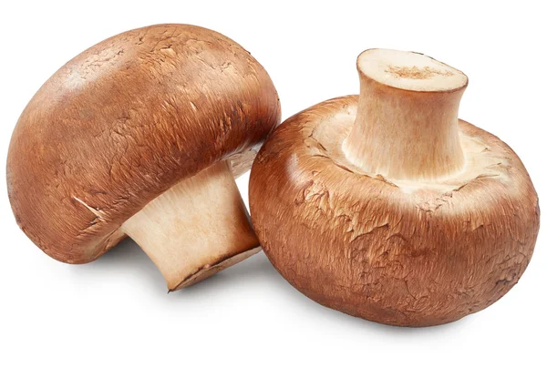 Funghi freschi crudi — Foto Stock