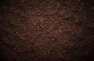 brown Soil background clipart