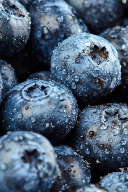 Texture of blueberries with drops  clipart