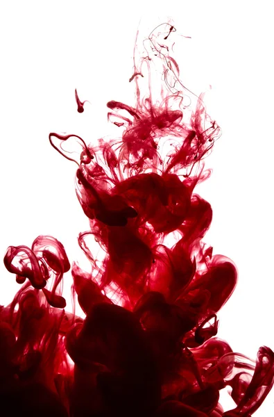 Abstract splash of red paint isolated — Stock Photo, Image