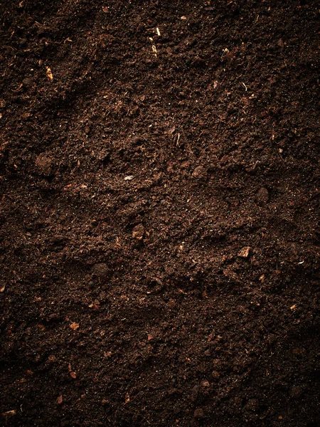 Brown Soil background — Stock Photo, Image