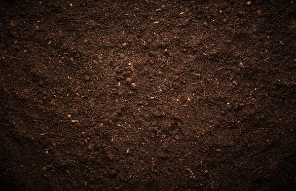 Gleby brązowe tło — Zdjęcie stockowe