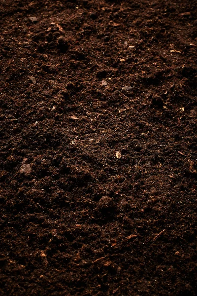 Brown Soil background — Stock Photo, Image