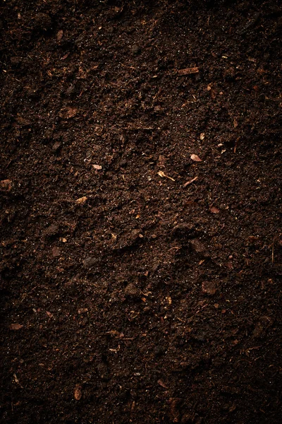Brown Soil background — Stock Photo, Image