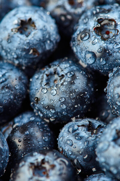 Texture of blueberries with drops 