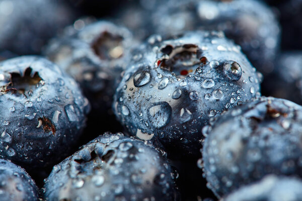Texture of blueberries with drops 