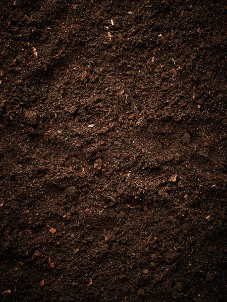 Brown Soil background Stock Image