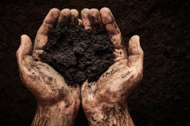 Soil in male hands  clipart