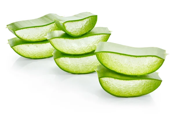 Aloe Vera frisches Blatt — Stockfoto