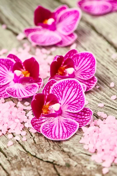 Purple orchid flowers and sea salt — Stock Photo, Image