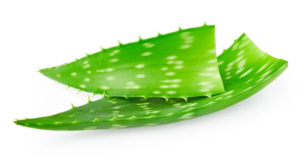 Aloe vera blad — Stockfoto