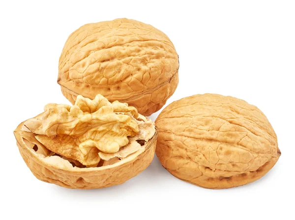 Nueces y nueces — Foto de Stock