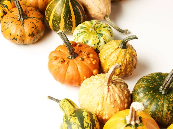 Different colors pumpkins over white background close up