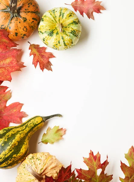 Pumpa Med Höstens Eklöv Över Vit Bakgrund Med Plats För — Stockfoto