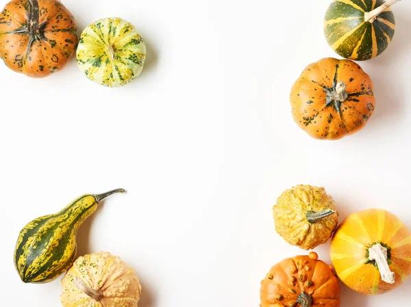 Pumpor Över Vit Bakgrund Med Plats För Text — Stockfoto