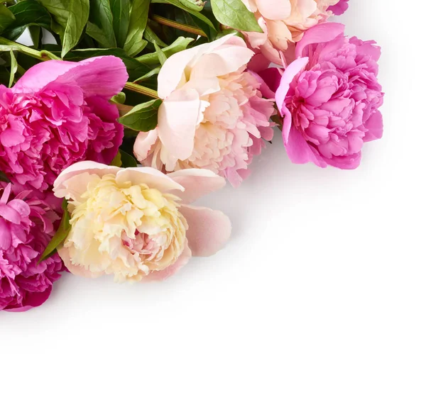 Beyaz Arka Planda Güzel Bir Buket Şakayık Çiçeği — Stok fotoğraf