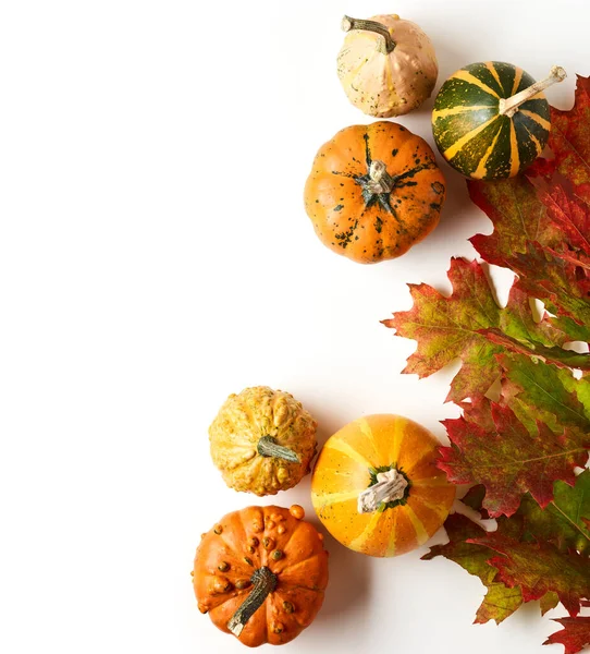 Pumpa Med Höstens Eklöv Över Vit Bakgrund Med Plats För — Stockfoto