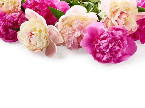 Beautiful bouquet of peony flowers over white background