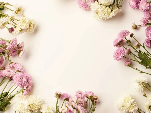 Hermosas Flores Pequeñas Crisantemo Rosado Blanco Con Lugar Para Texto — Foto de Stock