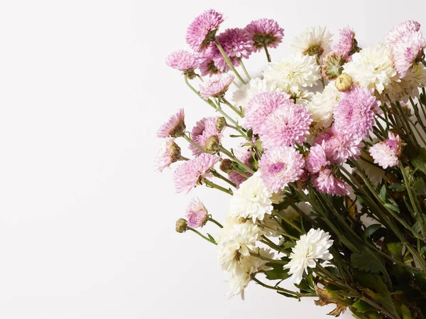 Ramo Flores Crisantemo Sobre Fondo Blanco Con Lugar Para Texto — Foto de Stock