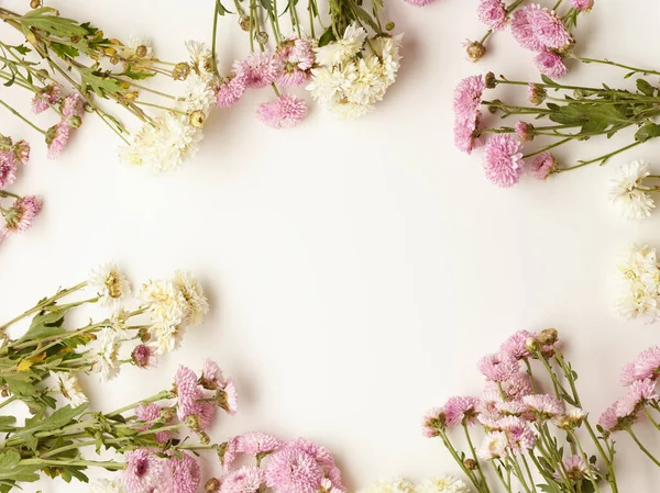 Hermosas Flores Pequeñas Crisantemo Rosado Blanco Con Lugar Para Texto — Foto de Stock