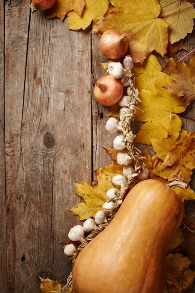 Autumn background — Stock Photo, Image