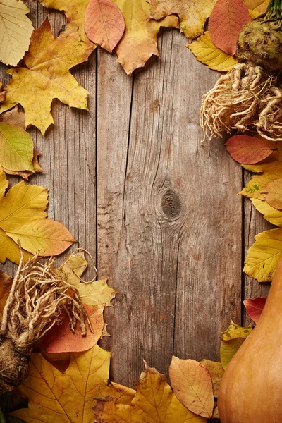 Autumn leaves — Stock Photo, Image