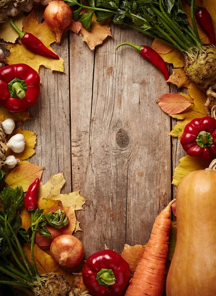 Höstens grönsaker — Stockfoto