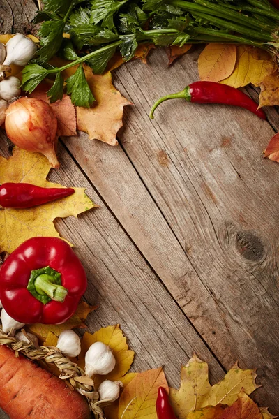 Autumn vegetables — Stock Photo, Image