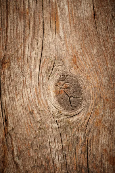 Holzstruktur — Stockfoto