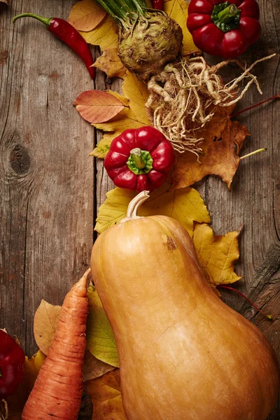 Осенние овощи — стоковое фото