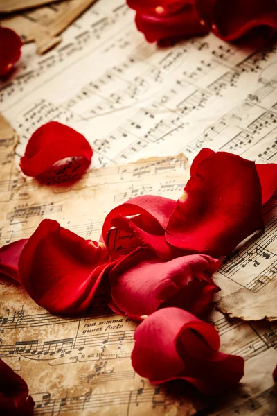 Music sheets with rose petals — Stock Photo, Image