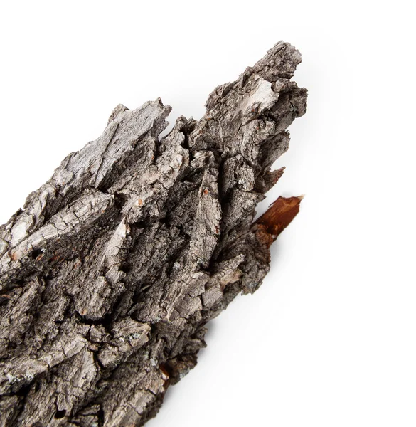 Kůra stromu — Stock fotografie