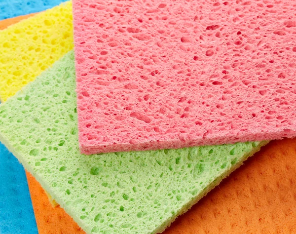 Sponges — Stock Photo, Image