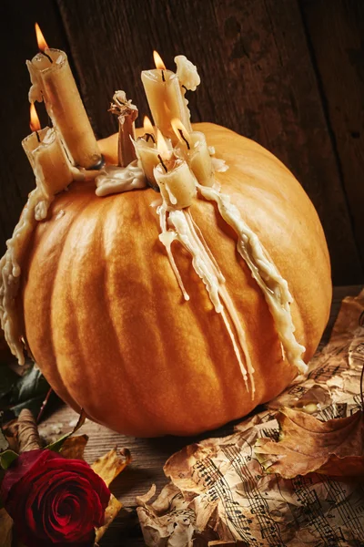 Still life with pumpkin — Stock Photo, Image