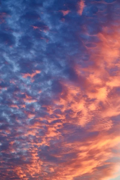 Hermoso cielo nocturno —  Fotos de Stock