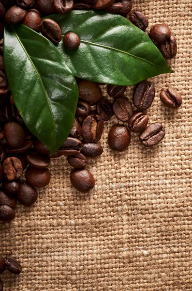 Granos de café con hojas verdes — Foto de Stock