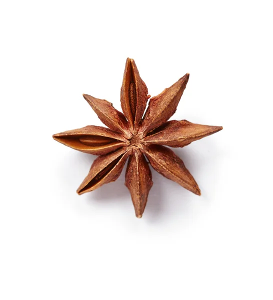 Star anise — Stock Photo, Image