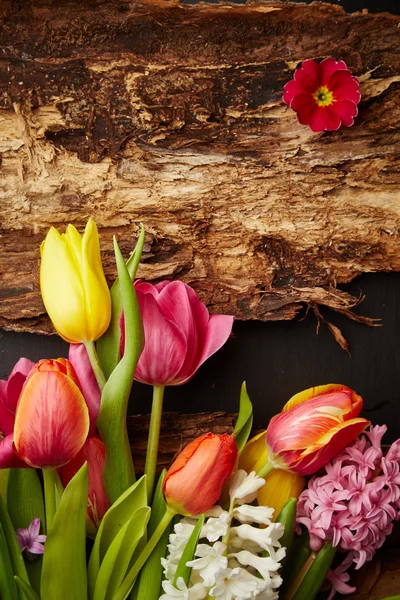 Tulips and hyacinths — Stock Photo, Image