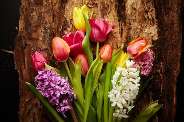 Tulips and hyacinths — Stock Photo, Image