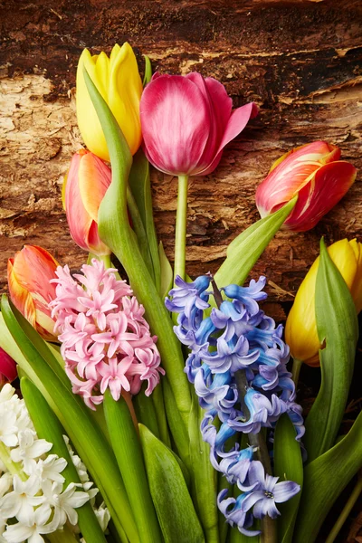 Tulips and hyacinths — Stock Photo, Image