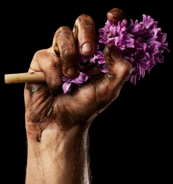 Ruka muže s květinou — Stock fotografie