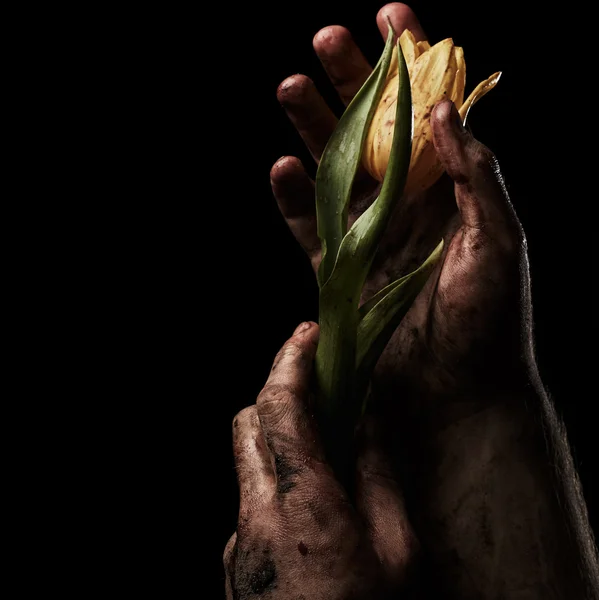 Man hand med blomma — Stockfoto
