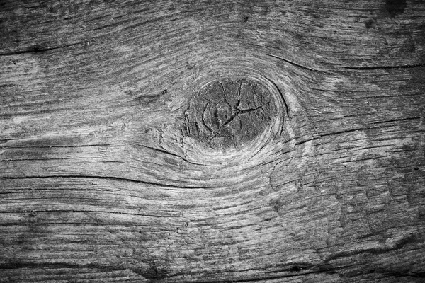 Legno — Foto Stock