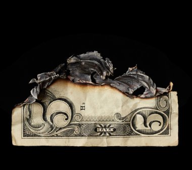 Dolar
