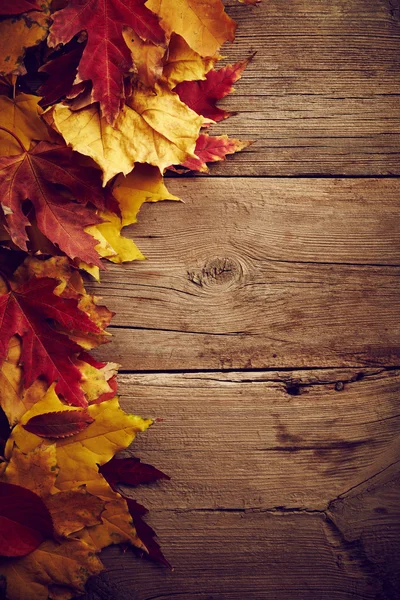 Herbstblätter — Stockfoto