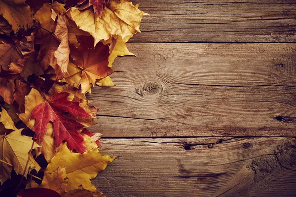 Autumn leaves — Stock Photo, Image