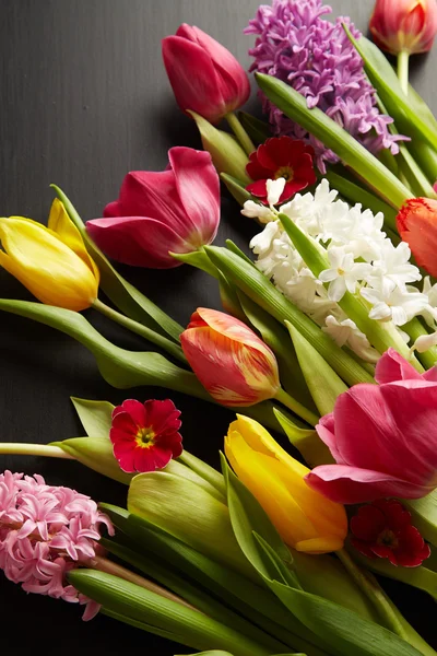 Spring flowers — Stock Photo, Image