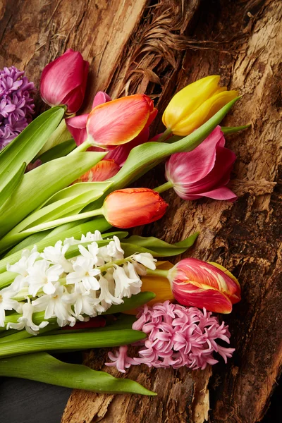 Tulips and hyacinths — Stock Photo, Image