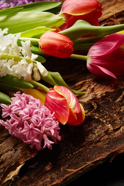 Tulipanes y jacintos — Foto de Stock